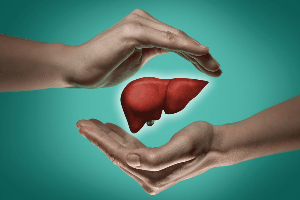 The impact of diet on the liver and why you should care!